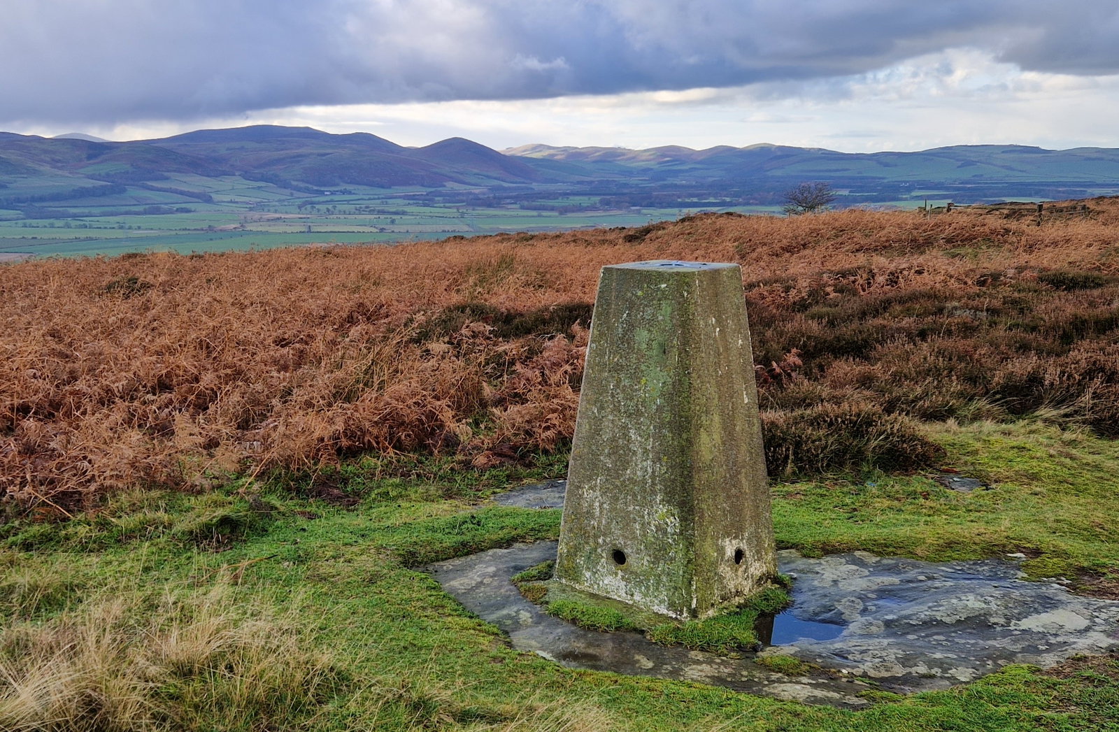Dod Law Trig Point