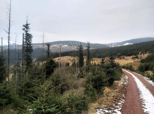 Dryhope Hill