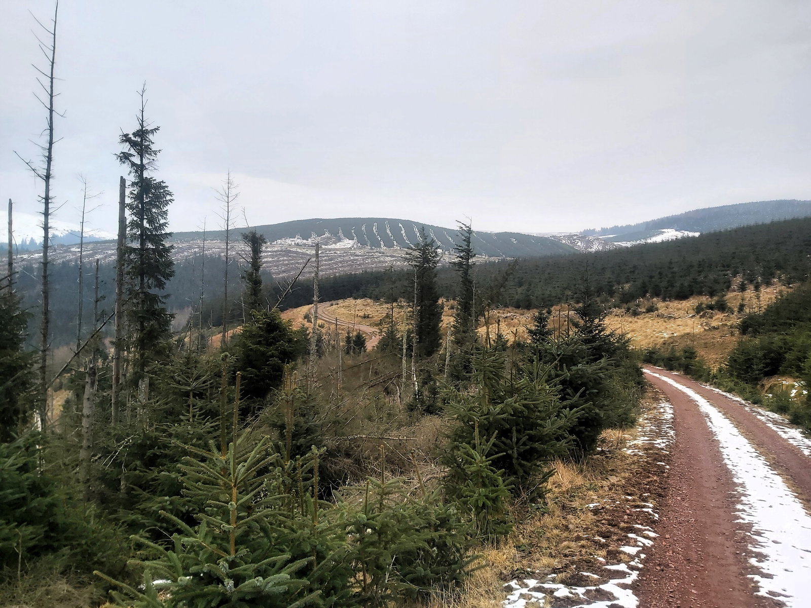 Dryhope Hill