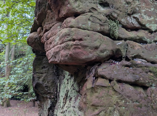 Dunino Den