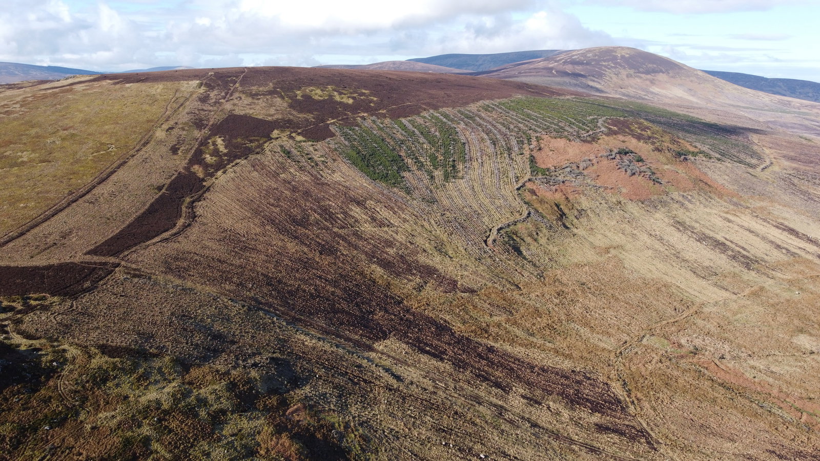 Dunmoor Hill