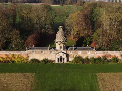 Dunmore Pineapple