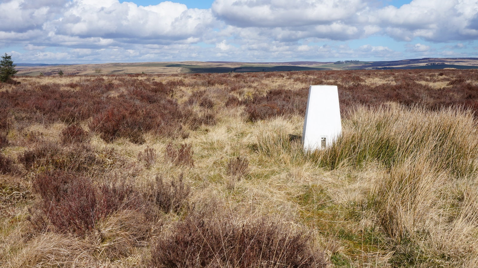 Ealingham Rigg Trig Point