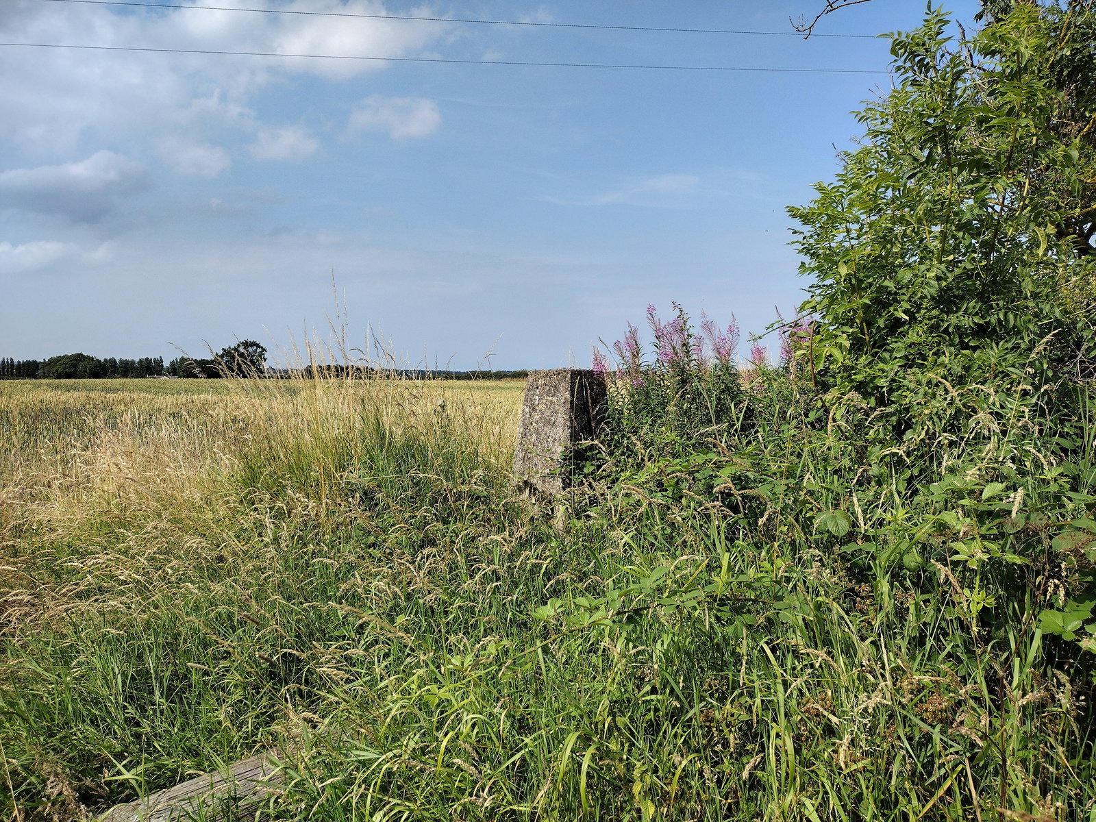 East Grange Trig Point