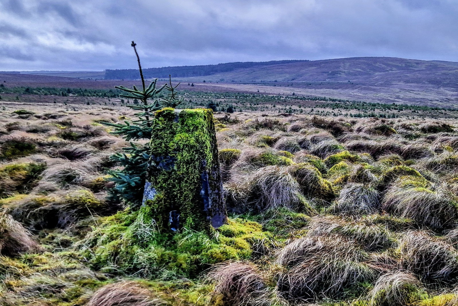 Foulmire Heights Trig Point