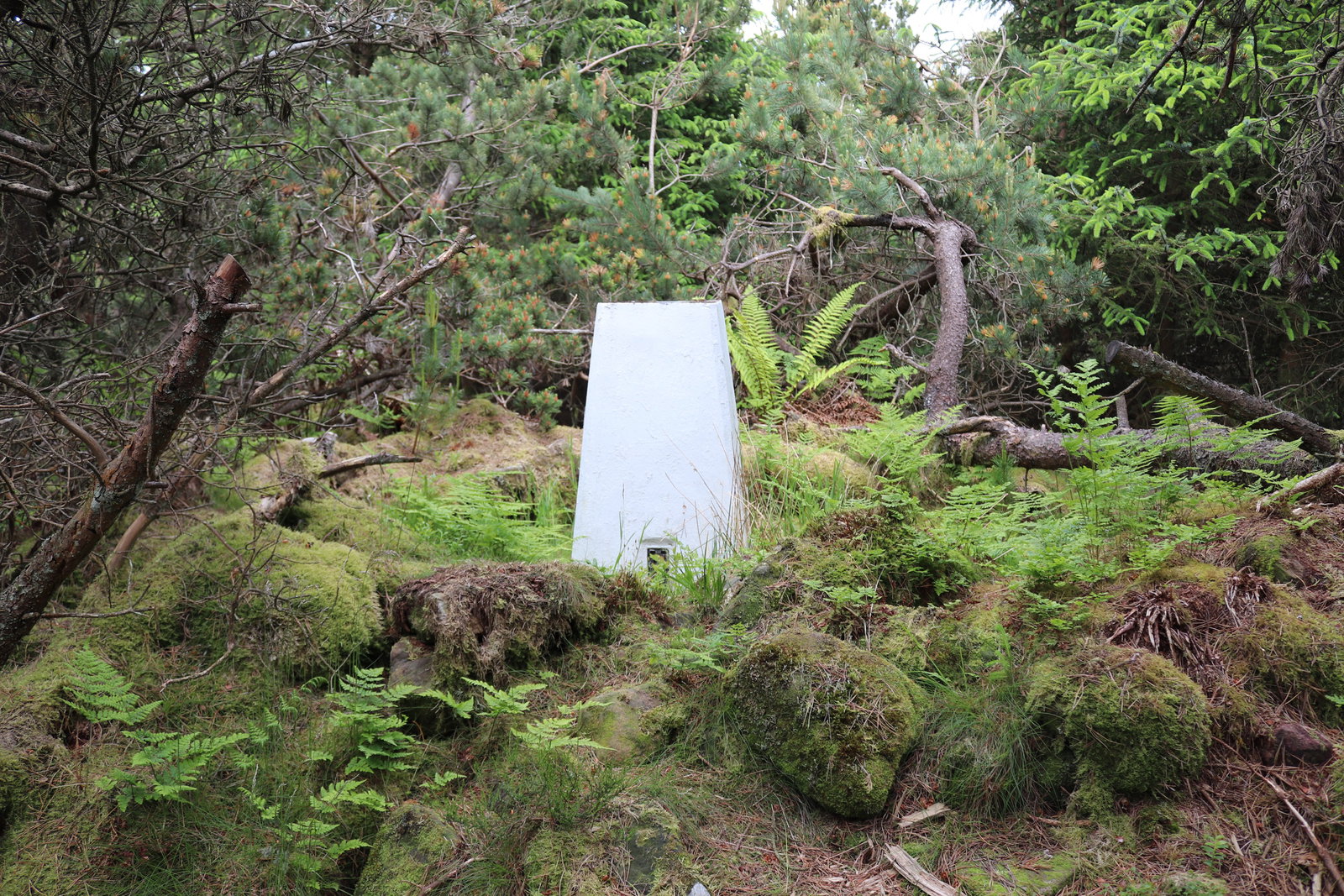 Fourlaws Hill Trig Point