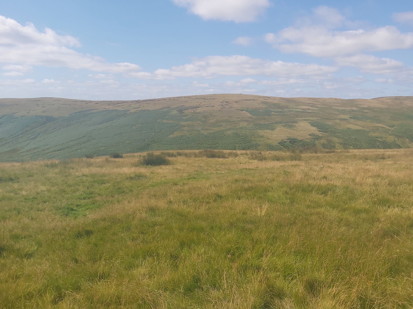 Gills Law