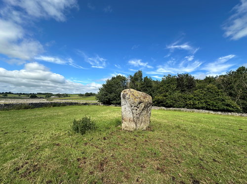 Googleby Stone