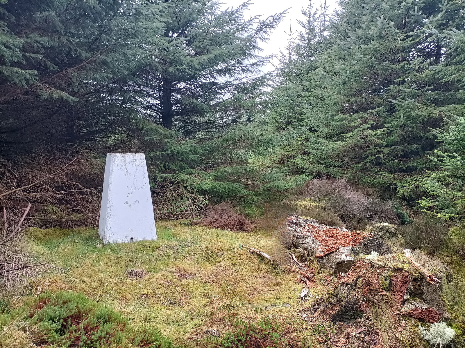 Greenside Trig Point