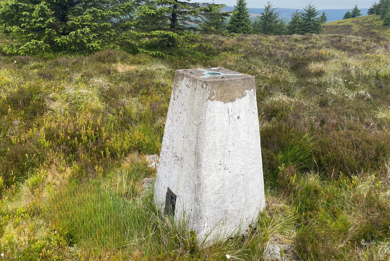 Grey's Pike Trig Point