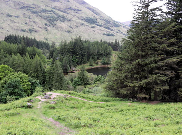 Hagrid's Hut