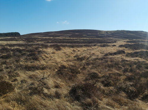 Hart Heugh