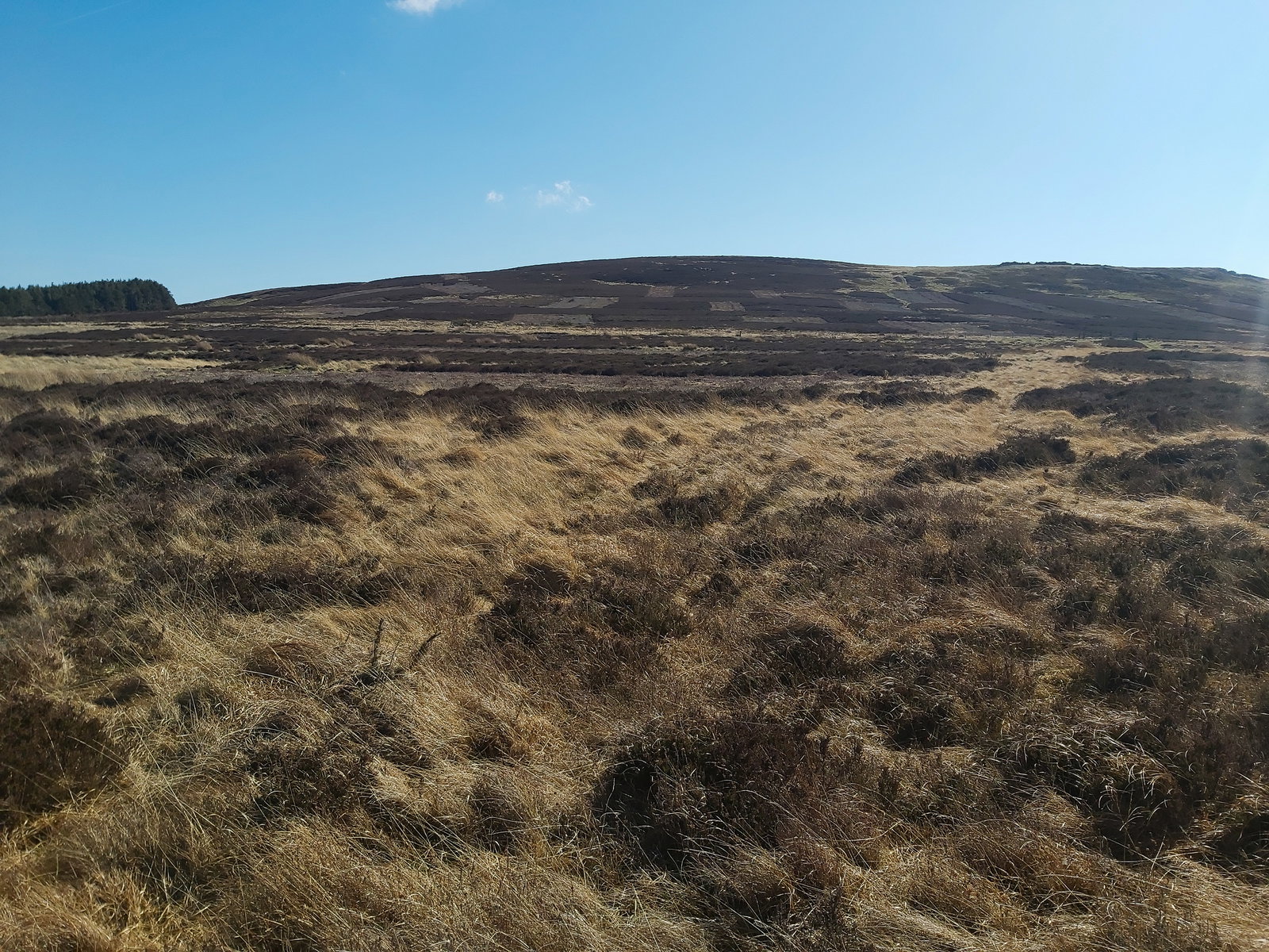 Hart Heugh
