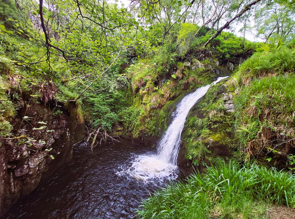 Harthope Linn
