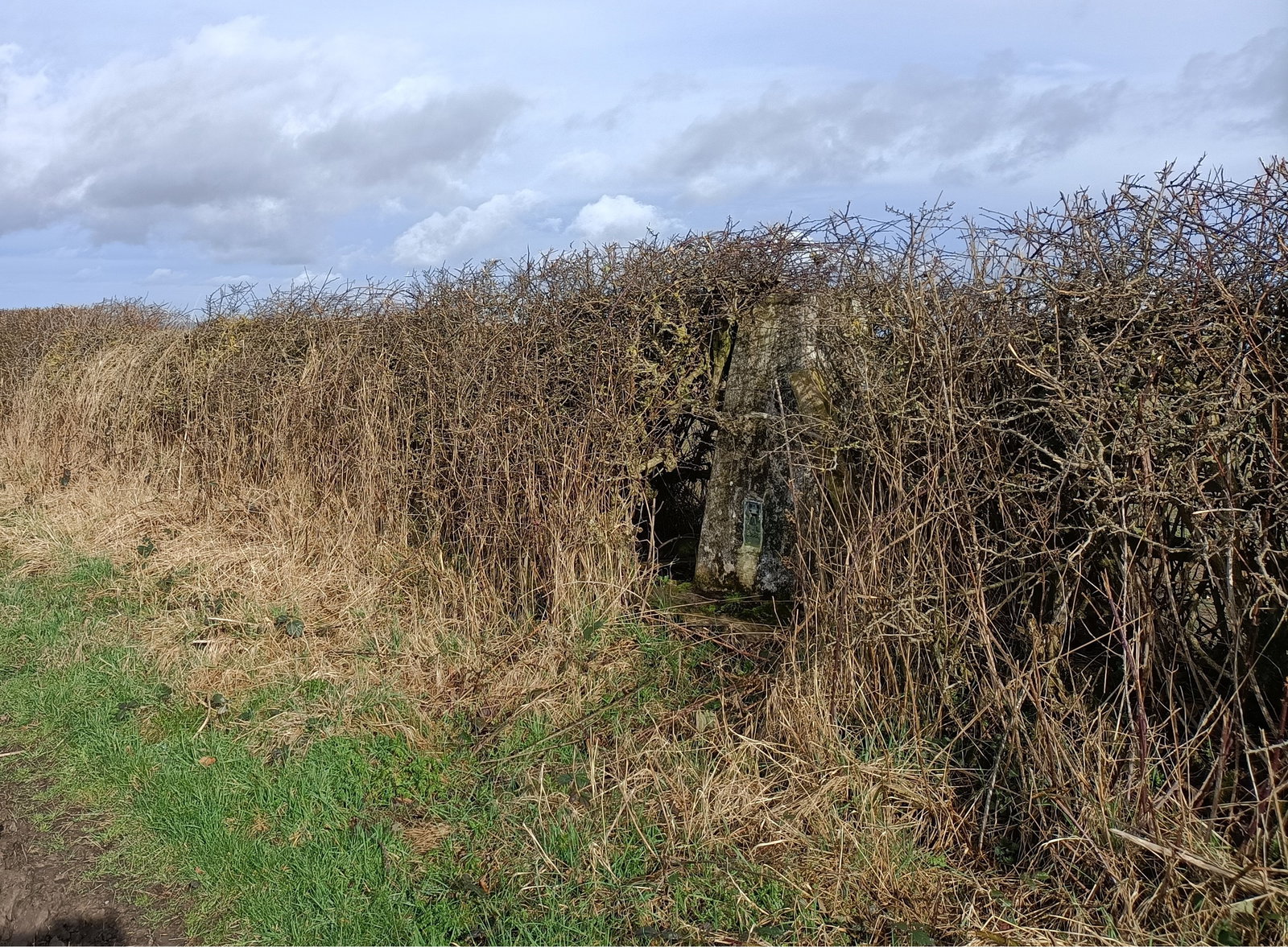 Hebron Hill Trig Point