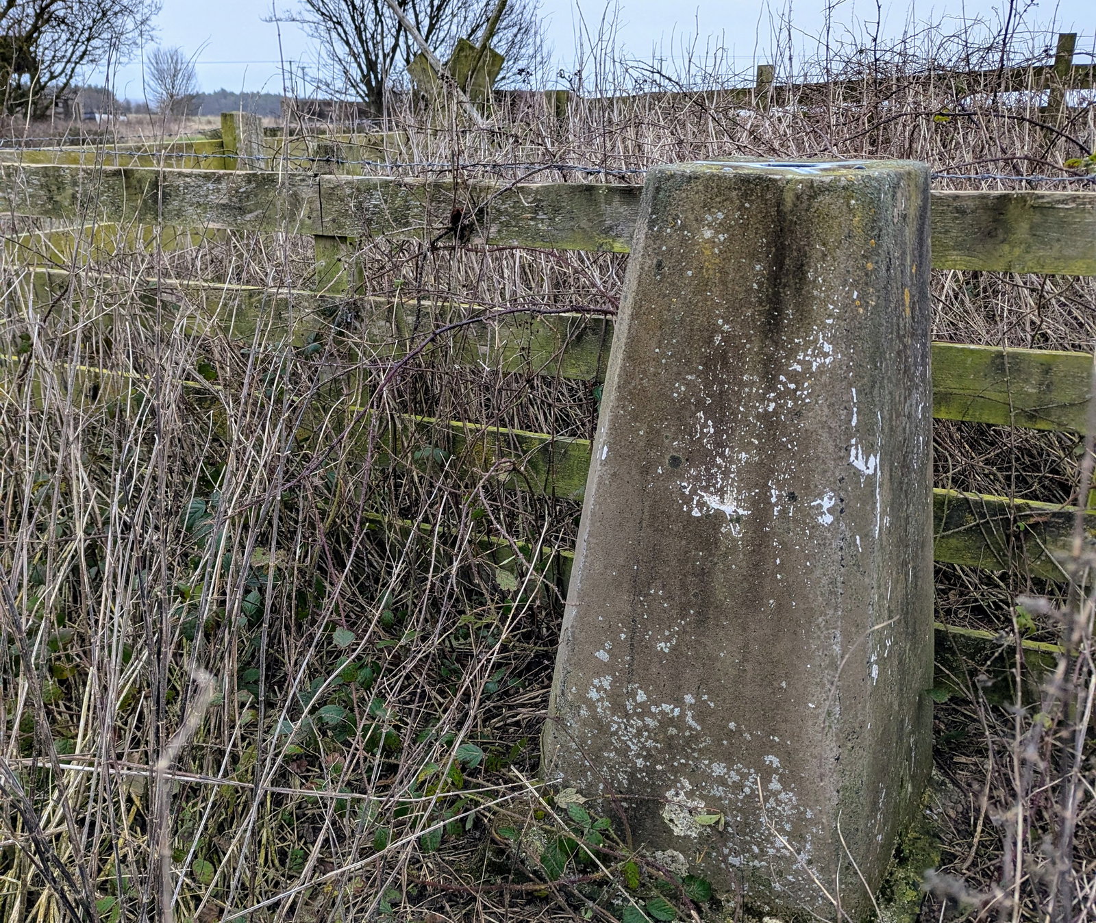 Helm Trig Point