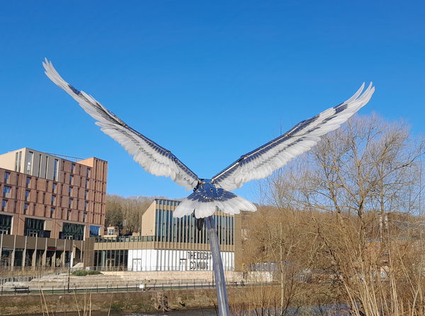 Durham Heron