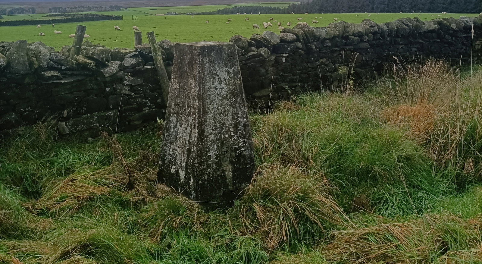 Hexham Common Trig Point
