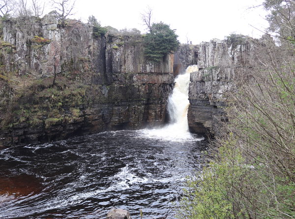 High Force and Low Force