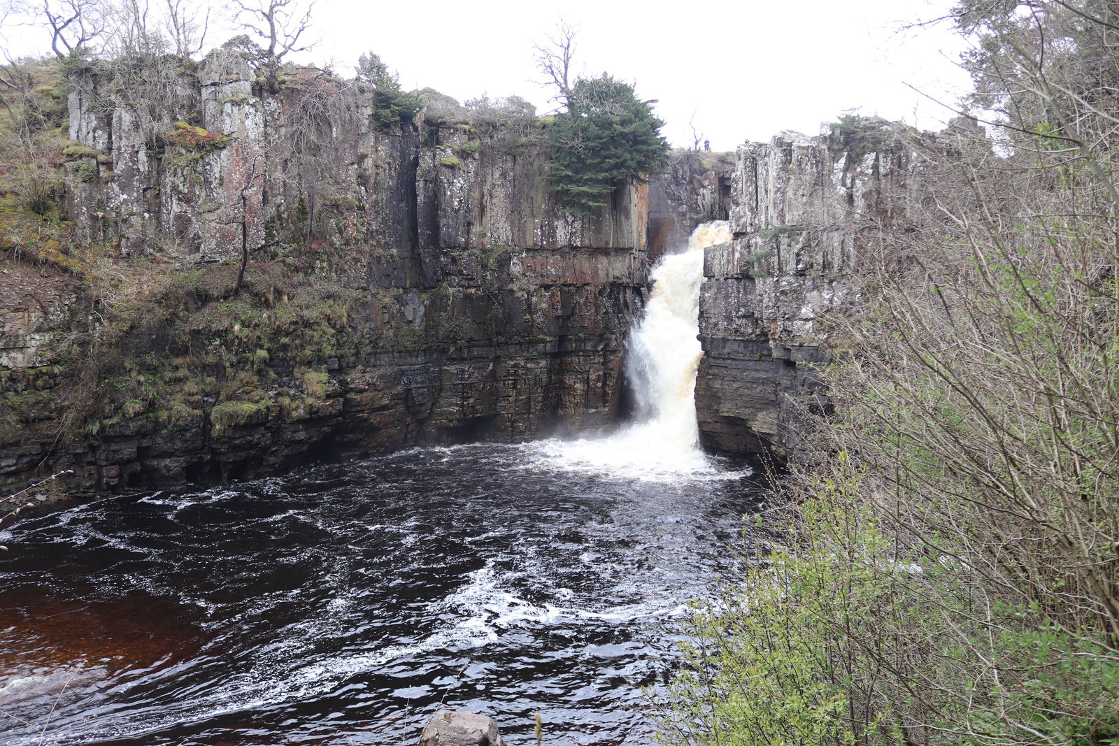 High Force and Low Force