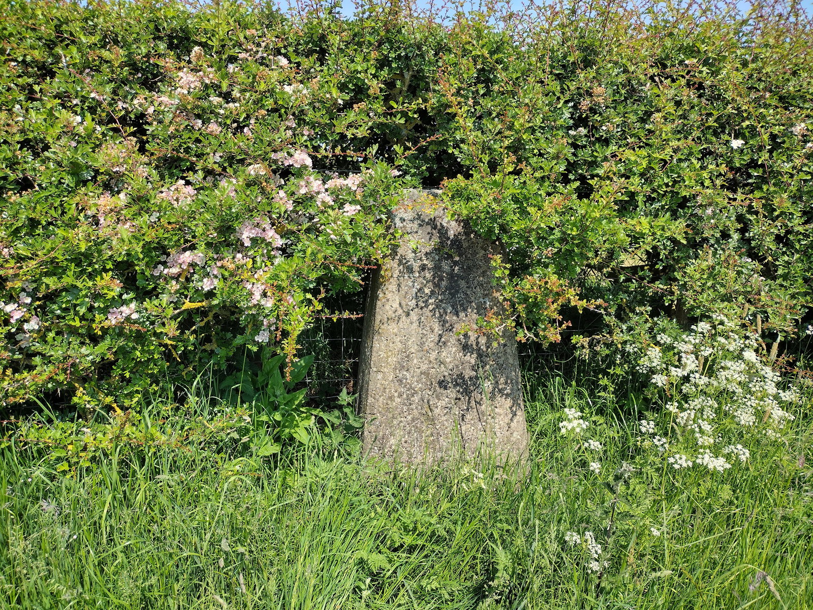 High House Trig Point