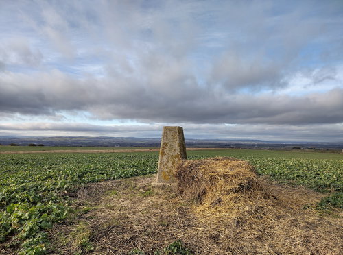 High Moorsley Trig Point