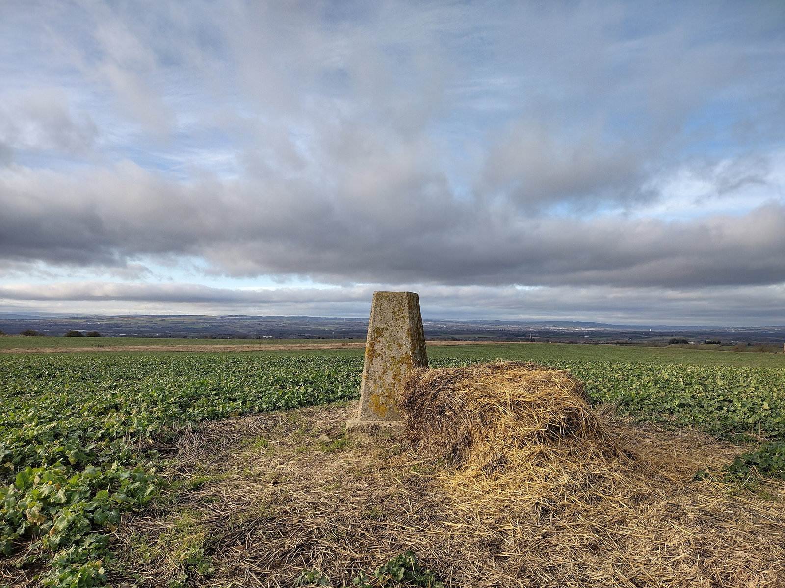 High Moorsley Trig Point