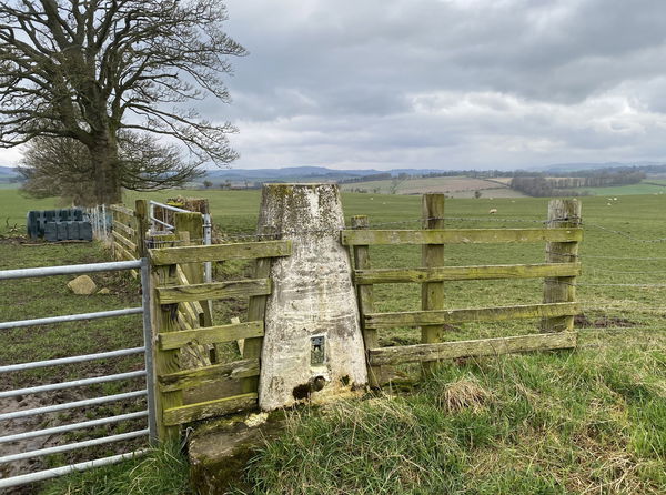 High Trewhitt Trig Point