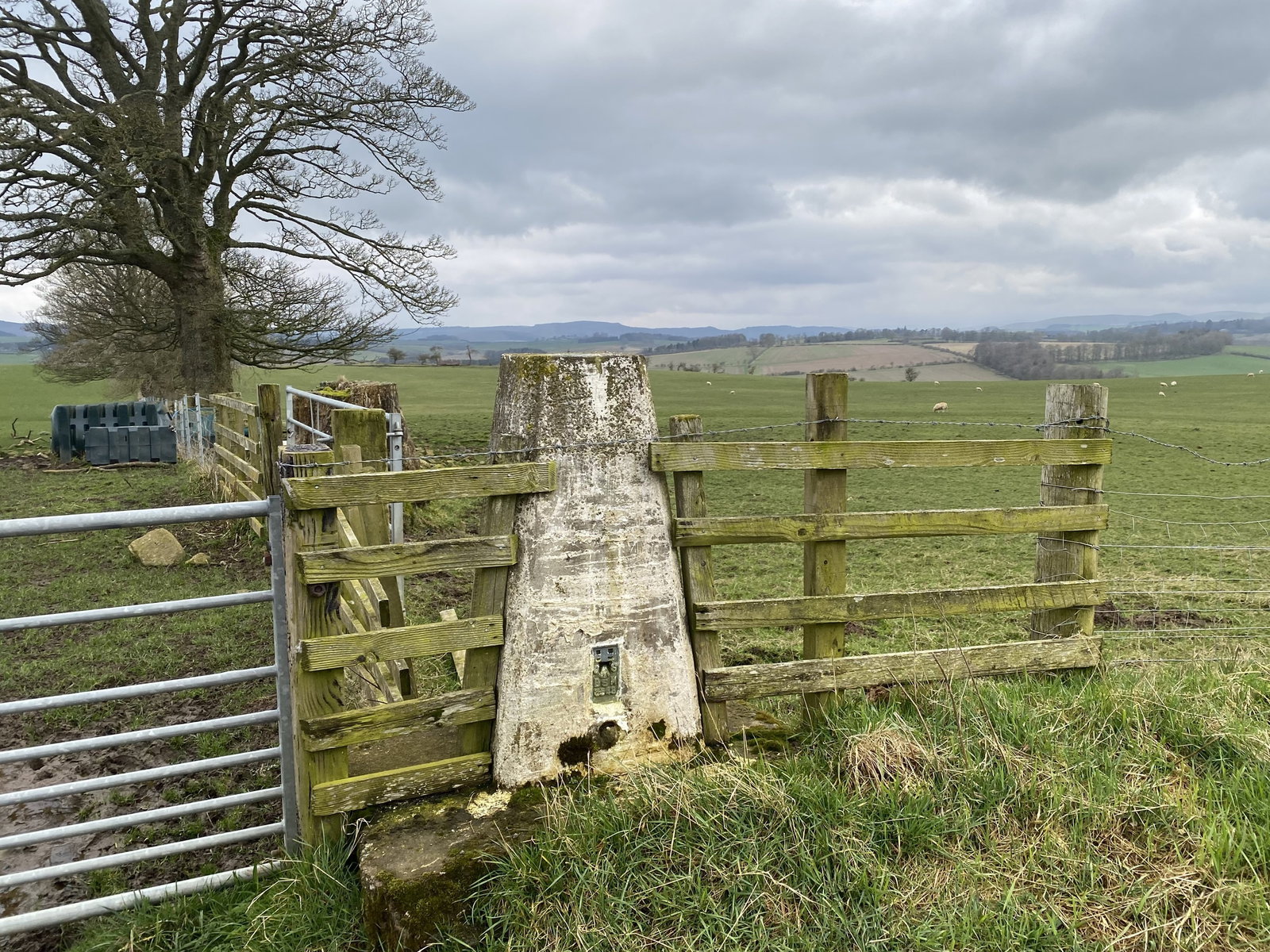 High Trewhitt Trig Point