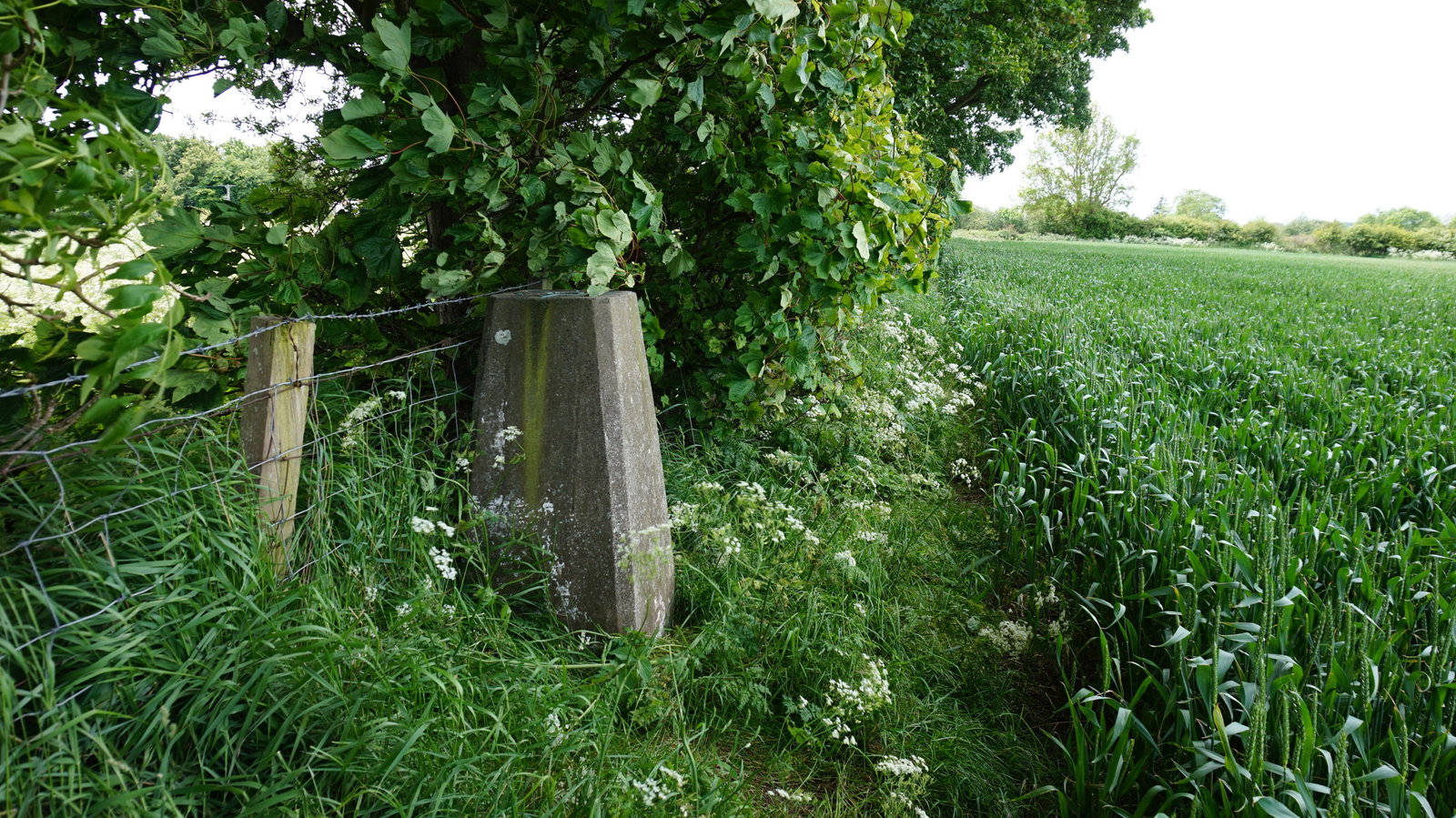 Higham Dykes Trig Point