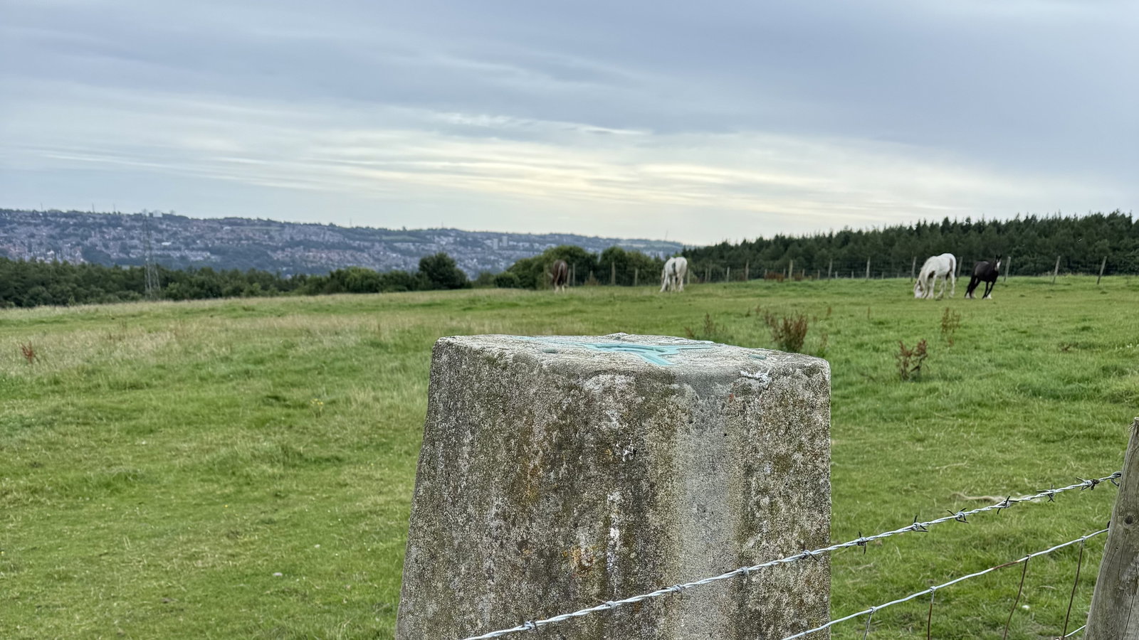 Hill Head Trig Point