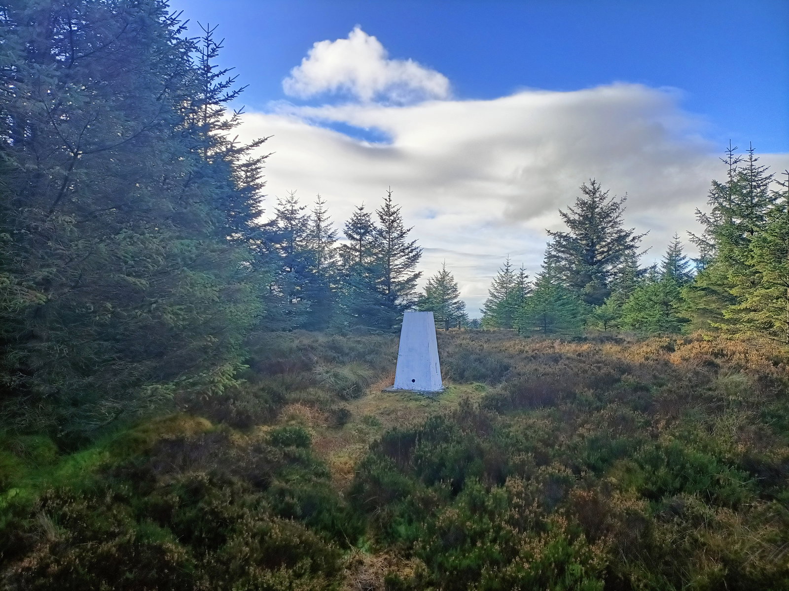 Hindhope Law Trig Point