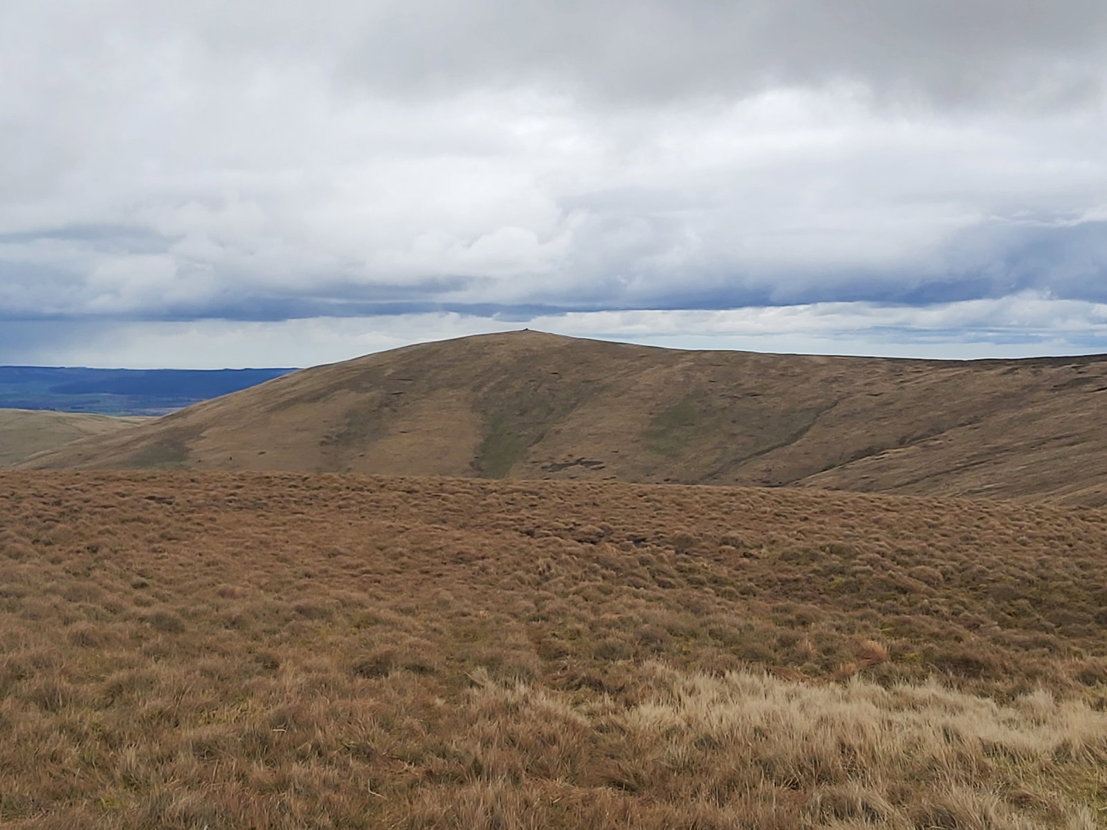 Hogdon Law