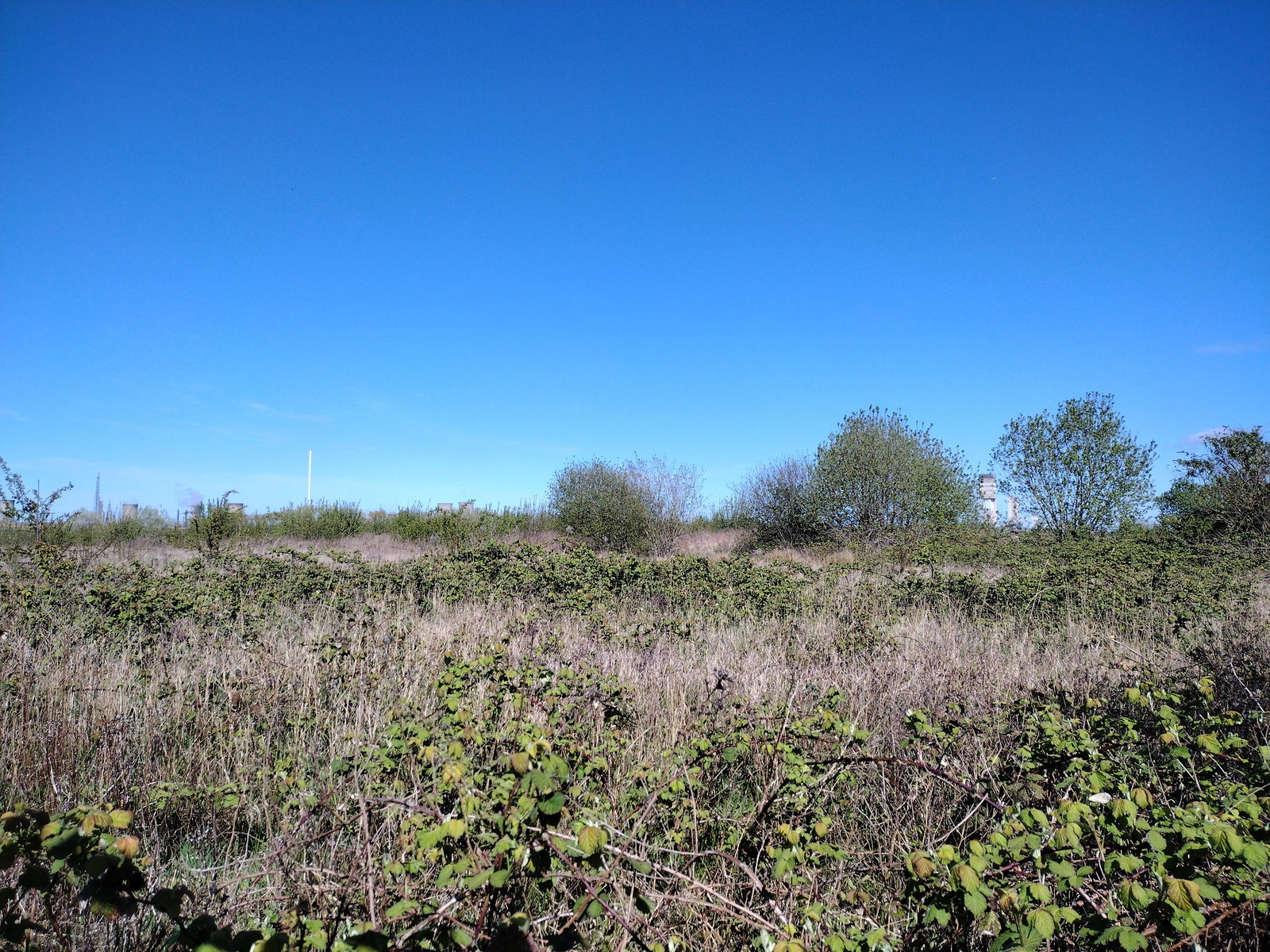 Holme House Farm Trig Point