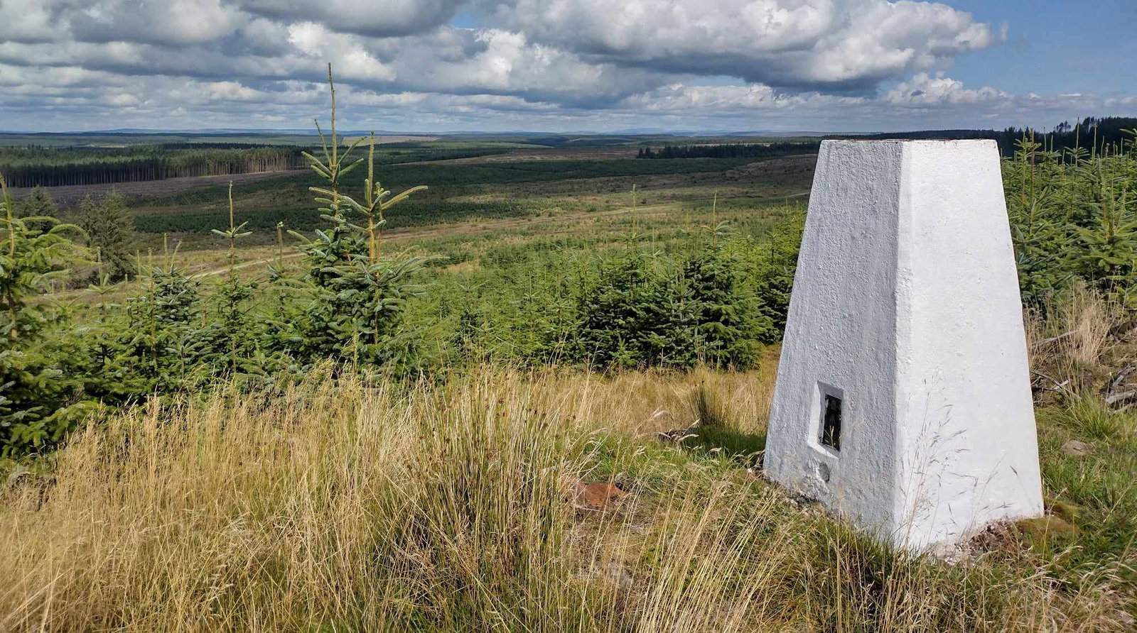 Hopealone Trig Point