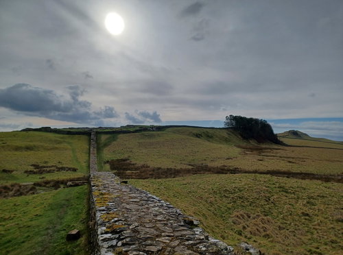 Housesteads Roman Fort