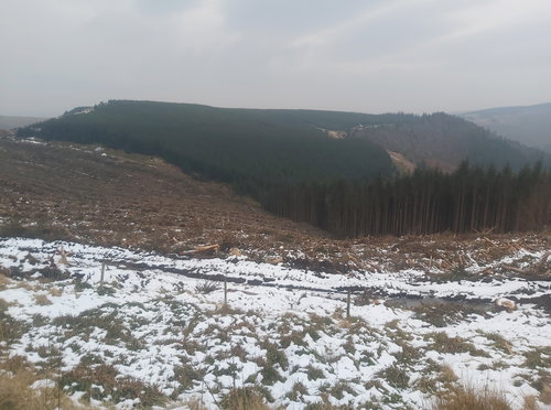 Inner Hill