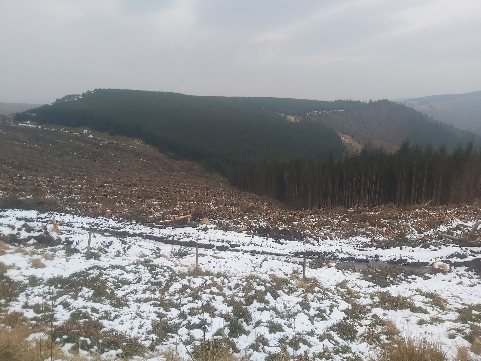 Inner Hill