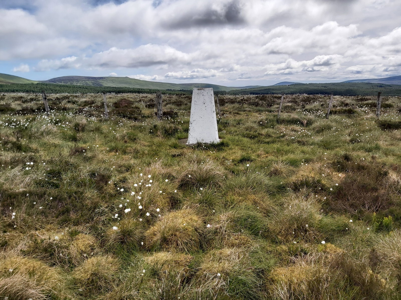Kings Seat