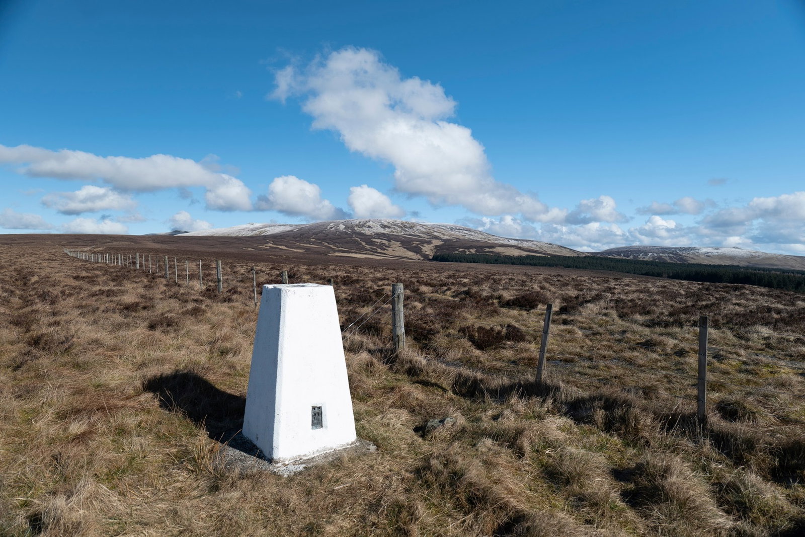 King's Seat Trig Point