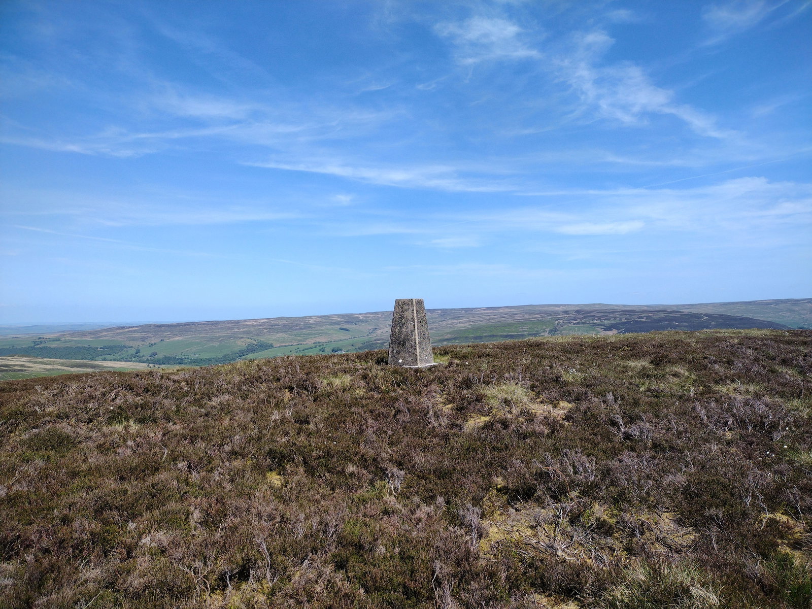 Knarsdale Forest Trig Point