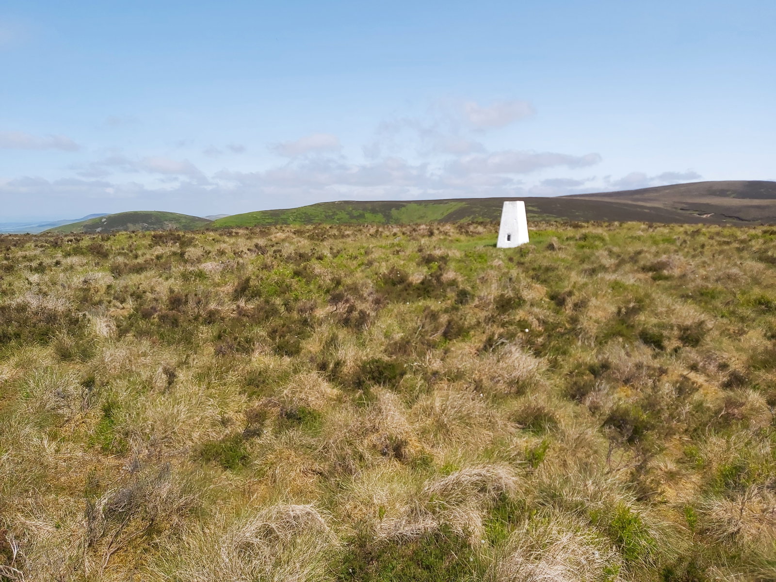 Lamb Hill