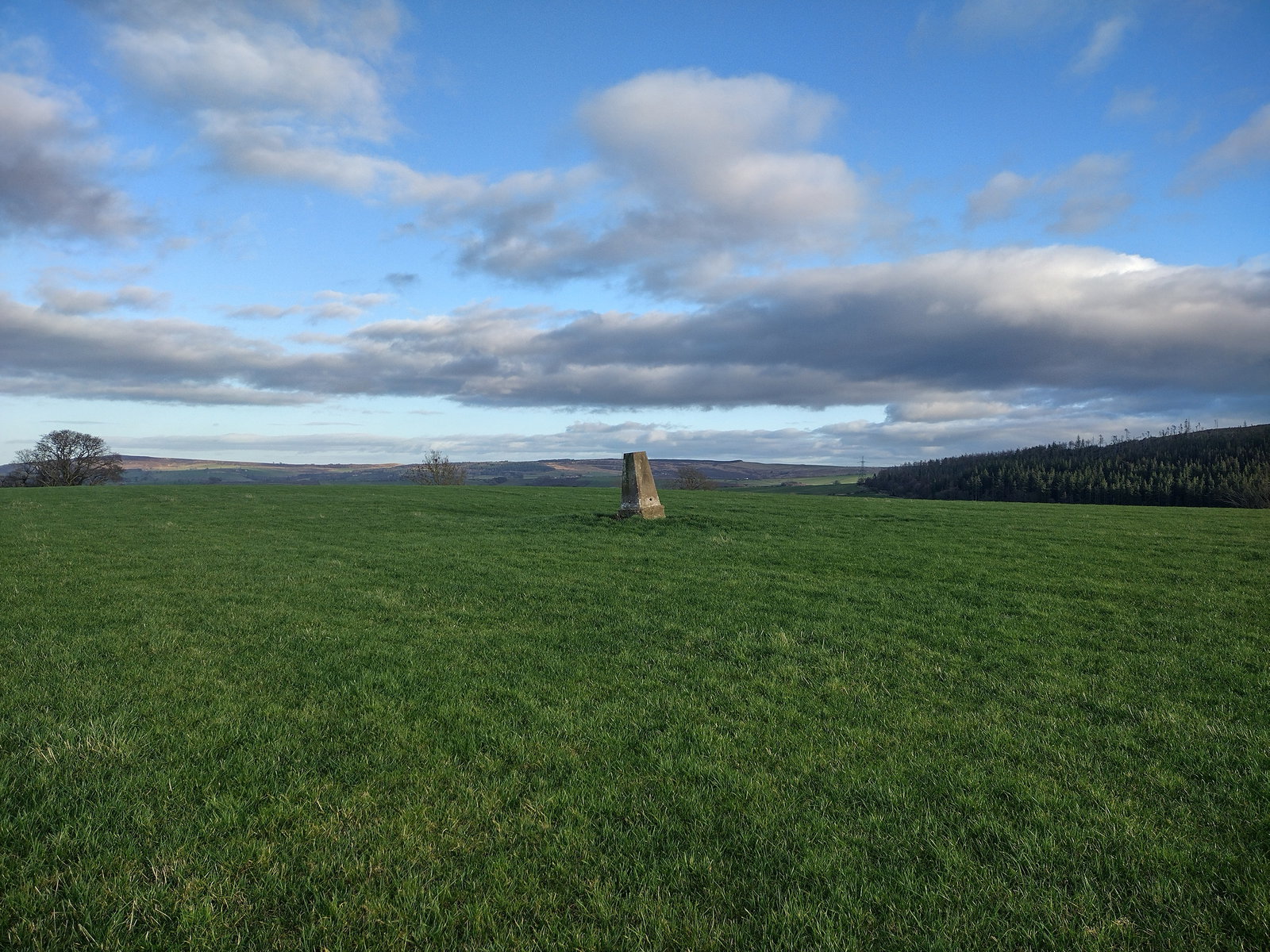 Lane End Trig Point