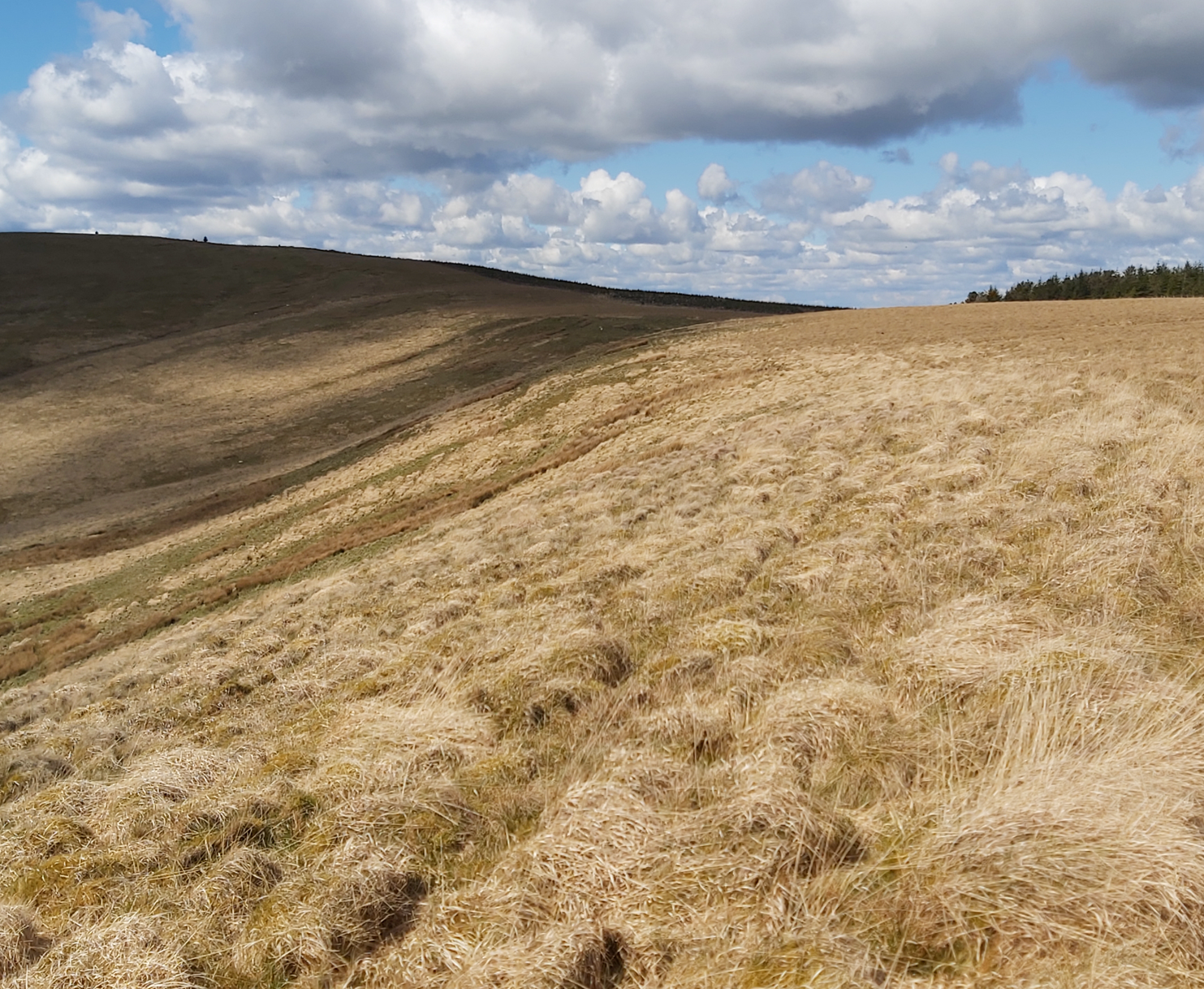 Leap Hill