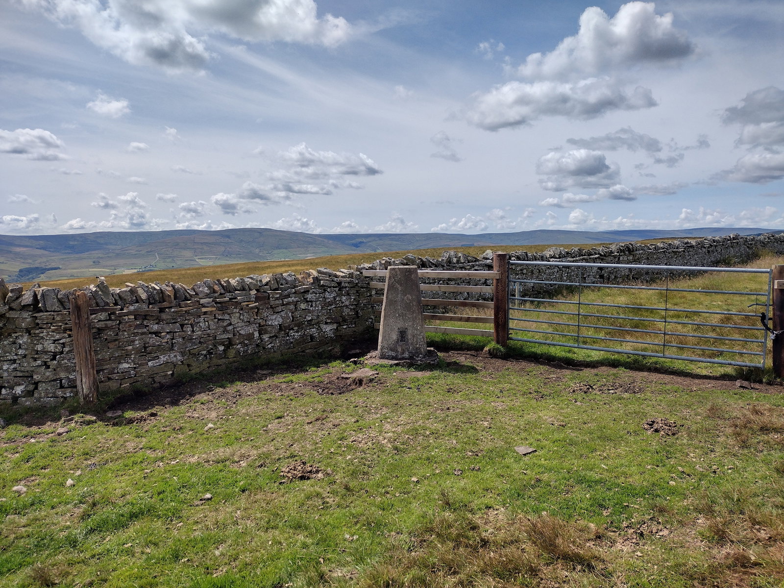 Lintzgarth Common Trig Point