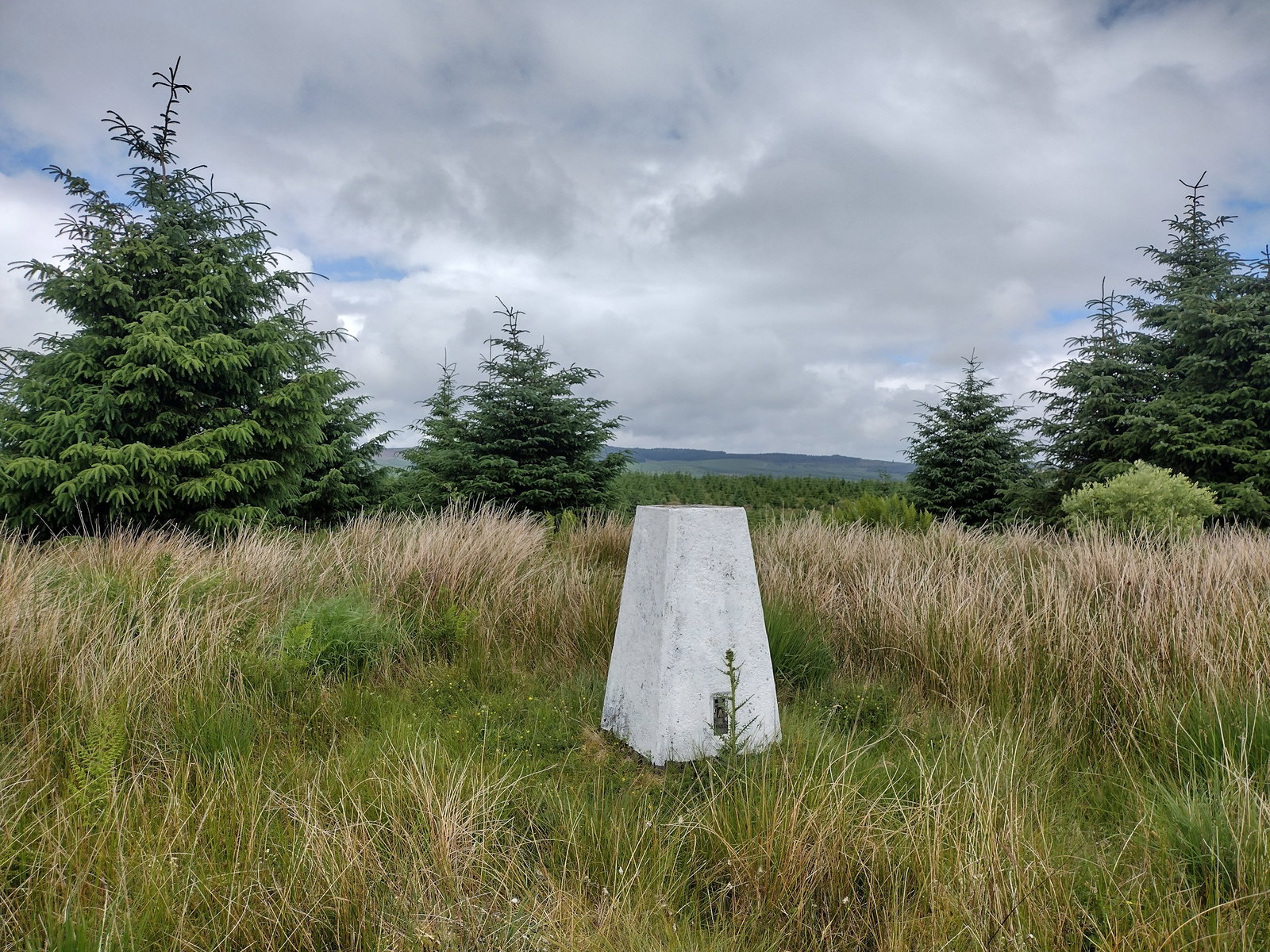 Little Hen Hill Trig Point