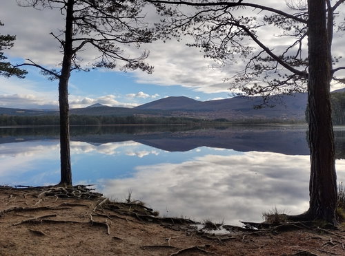Loch Garten Nature Reserve