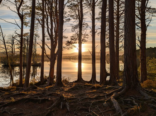 Abernethy Two Lochs