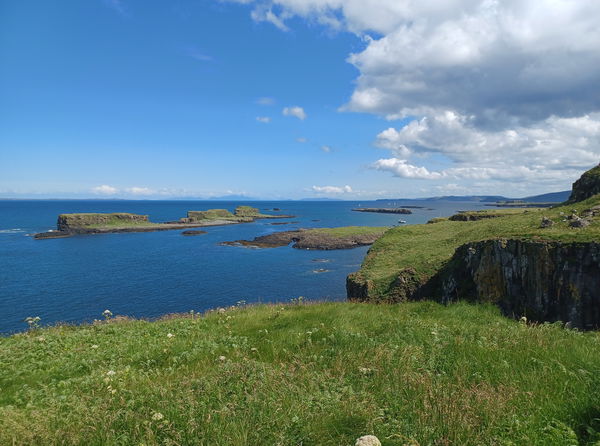 Lunga