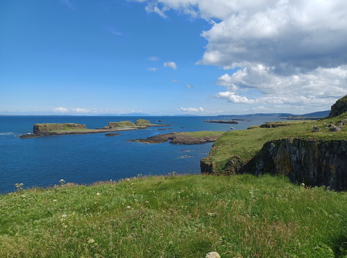 Lunga